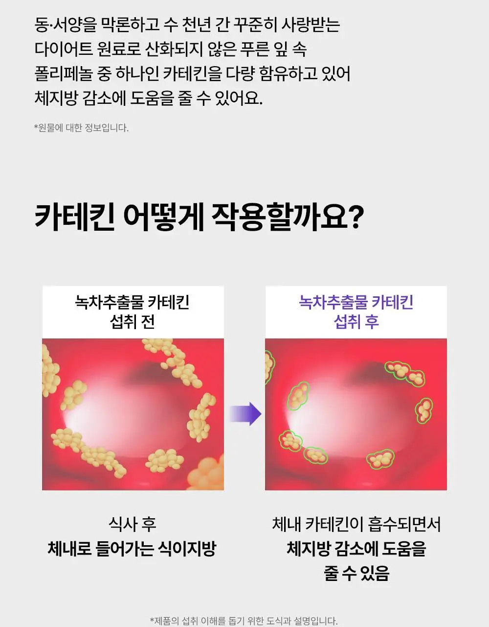 [다이어트] 풀무원건강식물원 카테킨 다이어트 30정 (30일분) 상세페이지 10